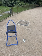 Columba livia domestica