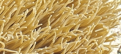 Anemonia viridis