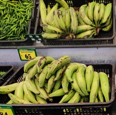 Musa