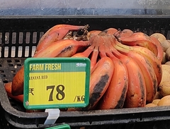 Musa
