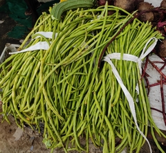 Vigna unguiculata sesquipedalis