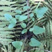 Smilax pseudochina - Photo inga rättigheter förbehållna, uppladdad av John Kees