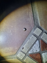 Tortricopsis pyroptis