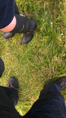 Cenchrus clandestinus