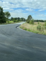 Vulpes vulpes fulvus