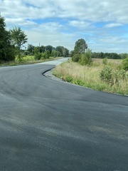 Vulpes vulpes fulvus