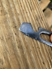 Wasmannia auropunctata