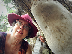 Fomitiporia punctata