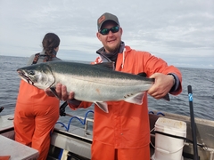Oncorhynchus kisutch