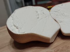 Calvatia cyathiformis