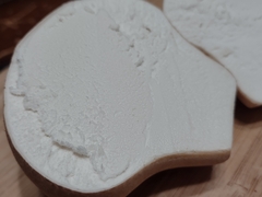 Calvatia cyathiformis