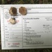 Russula similaris - Photo (c) heatherdawson, algunos derechos reservados (CC BY-NC), subido por heatherdawson