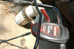 Ocyptamus fuscipennis