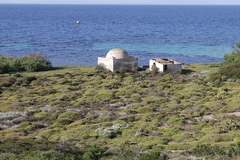 Sarcopoterium spinosum