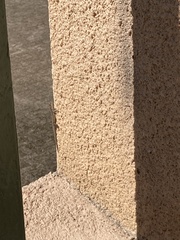 Lygodactylus capensis