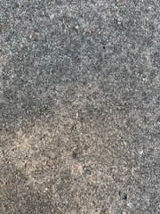 Xanthocarpia feracissima