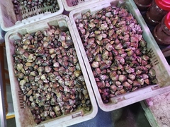 Meretrix petechialis