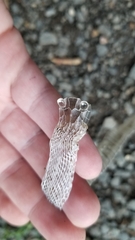 Serpentes