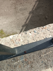 Aiolocaria hexaspilota