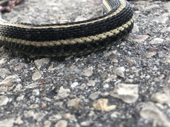 Thamnophis radix
