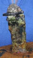 Neoboletus erythropus