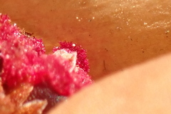 Elegia fistulosa