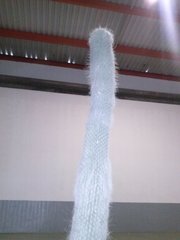 Cephalocereus senilis