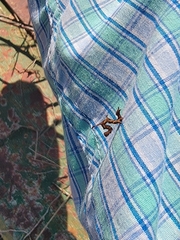 Phyprosopus callitrichoides