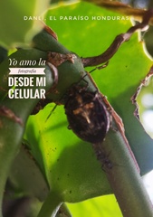 Antiteuchus