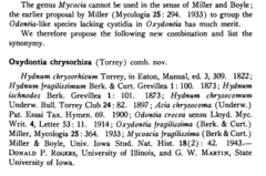 Hydnophlebia