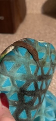 Ambigolimax valentianus