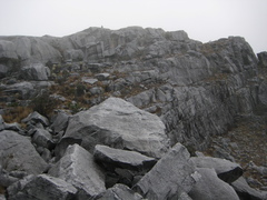Deconica