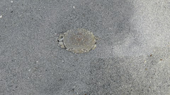 Matuta