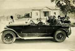 Eucalyptus mannifera