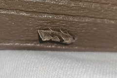 Pelochrista similiana