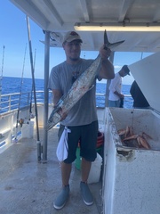 Scomberomorus cavalla