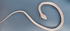Dolichophis caspius