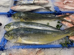 Coryphaena