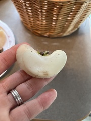 Pleurocybella porrigens