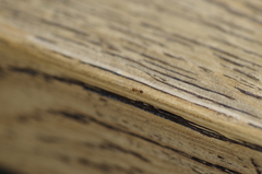 Monomorium pharaonis