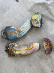 Lanmaoa pallidorosea