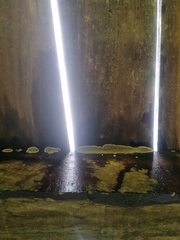 Hypoxylon rubiginosum