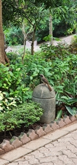 Pterorhinus perspicillatus