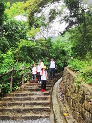 Lissachatina immaculata