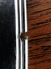 Drosophila