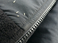 Macrosteles