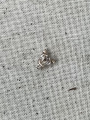 Eoparargyractis irroratalis