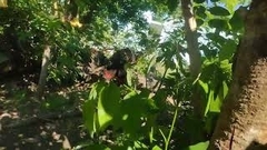 Mimoides ilus branchus