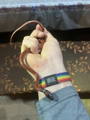 Oxyrhopus melanogenys