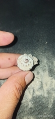 Muricidae